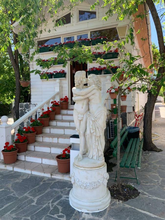 Bungalows & Albergue La Playa Логроньйо Екстер'єр фото